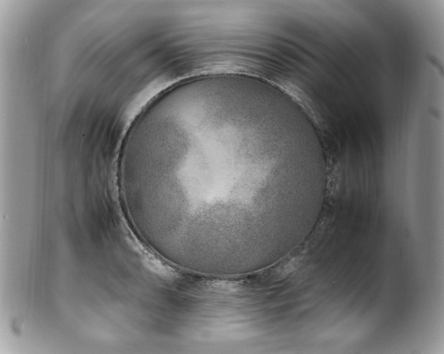 X0000102251086200807251317
