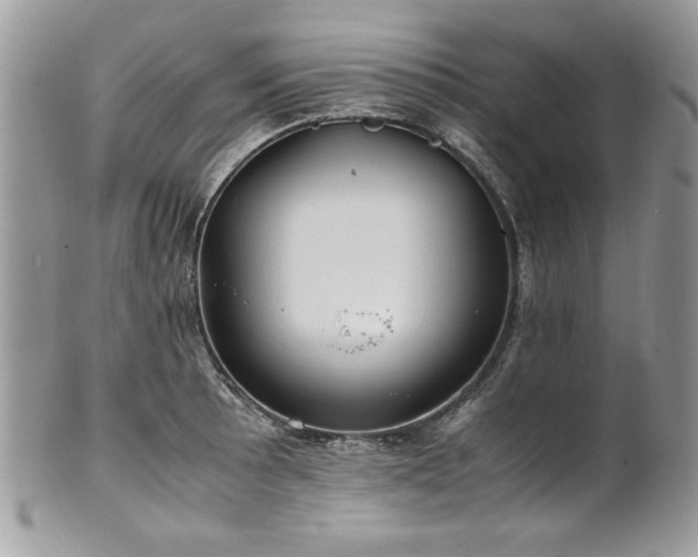 X0000102251089200807251316