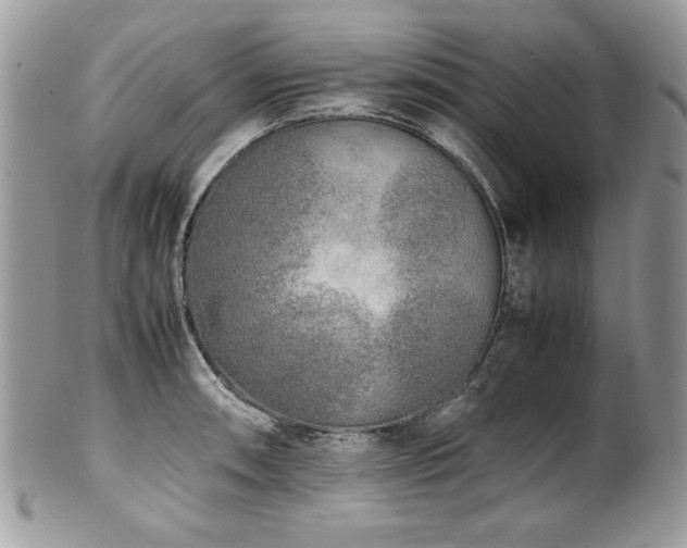X0000102251090200807251316