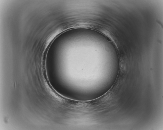X0000102251091200807251316