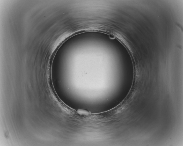 X0000102251093200807251316