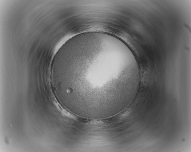 X0000102251094200807251316