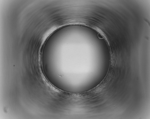 X0000102251096200807251316