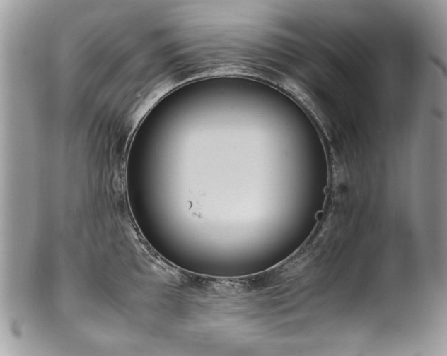 X0000102251097200807251316