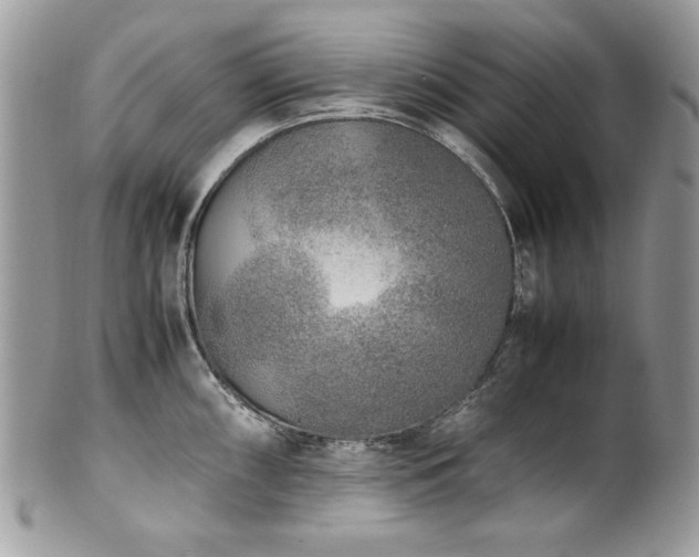 X0000102251098200807251316