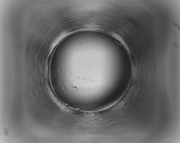 X0000102251099200807251316