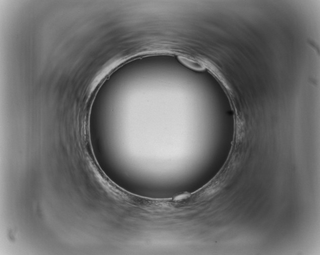 X0000102251101200807251316
