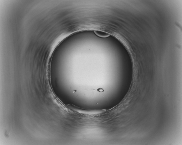 X0000102251104200807251316