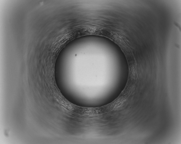 X0000102251105200807251316