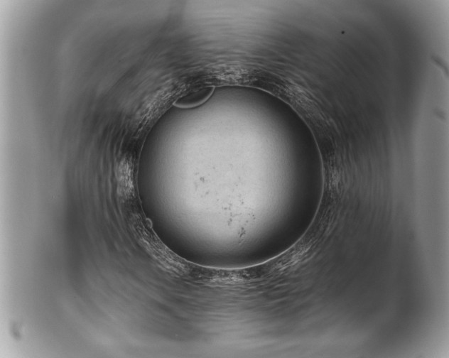 X0000102251106200807251316