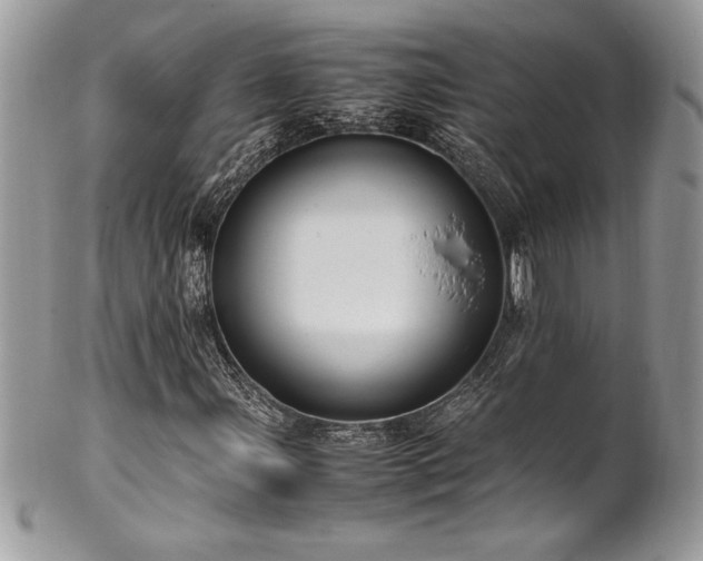 X0000102251107200807251316