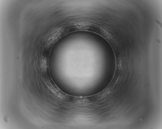 X0000102251108200807251316