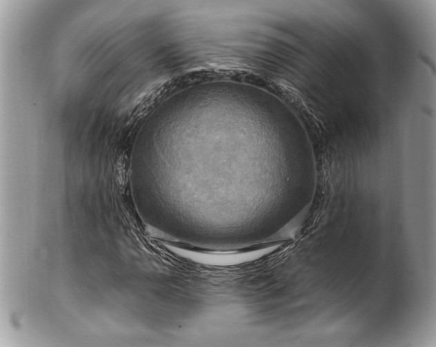 X0000102251110200807251316