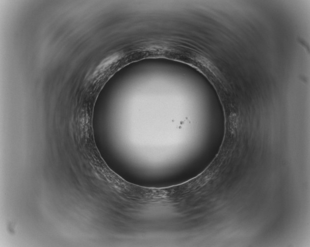 X0000102251111200807251316