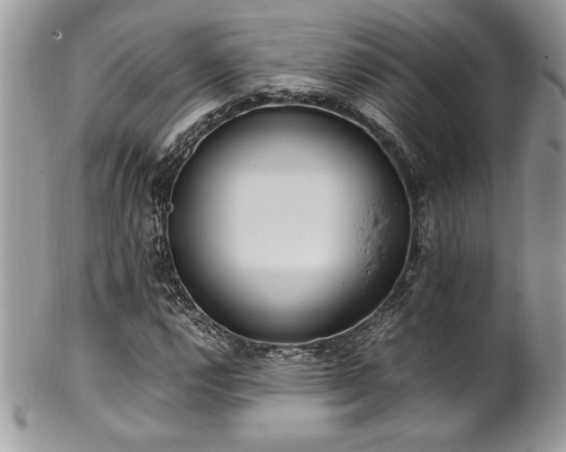 X0000102251112200807251316