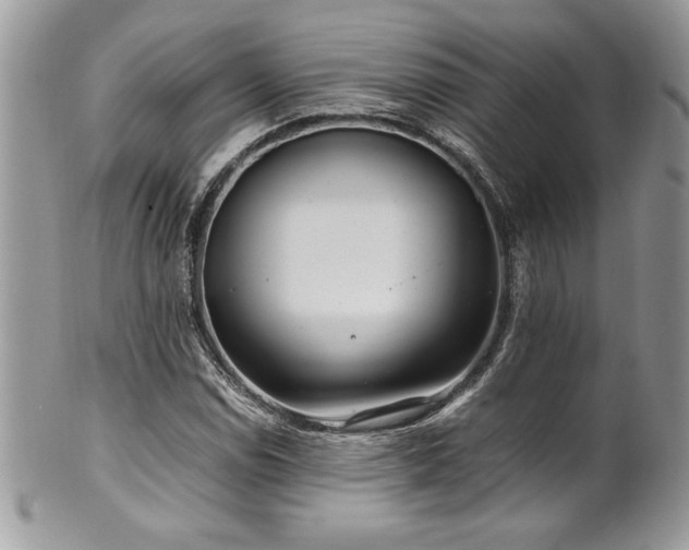 X0000102251114200807251316