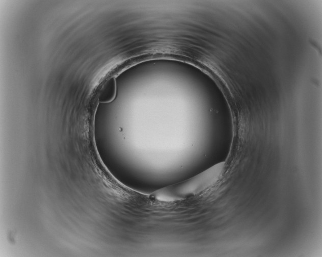 X0000102251115200807251316