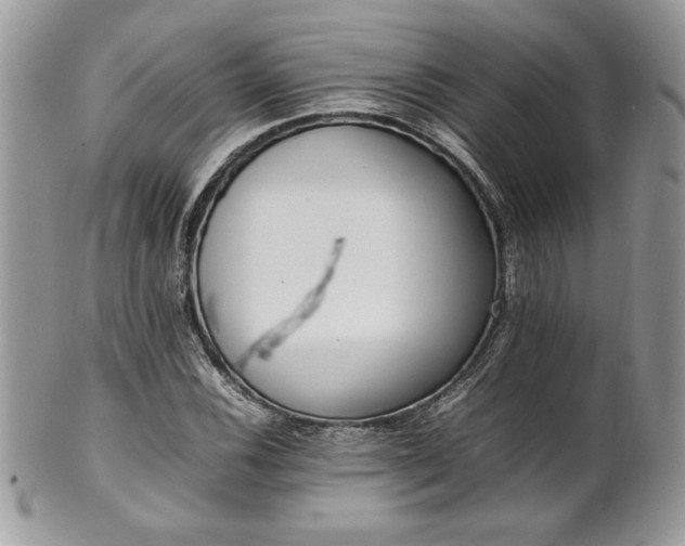 X0000102251116200807251316