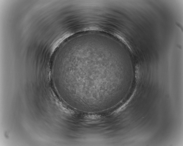 X0000102251117200807251316