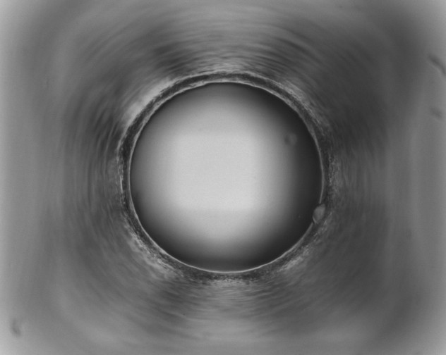 X0000102251118200807251316