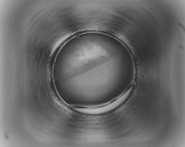 X0000102251120200807251316