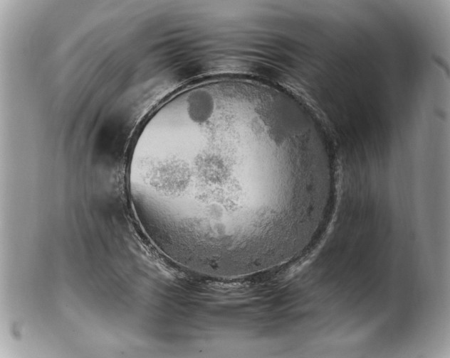 X0000102251121200807251316
