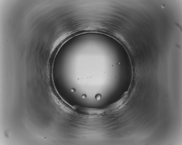 X0000102251122200807251316
