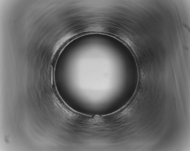 X0000102251123200807251316