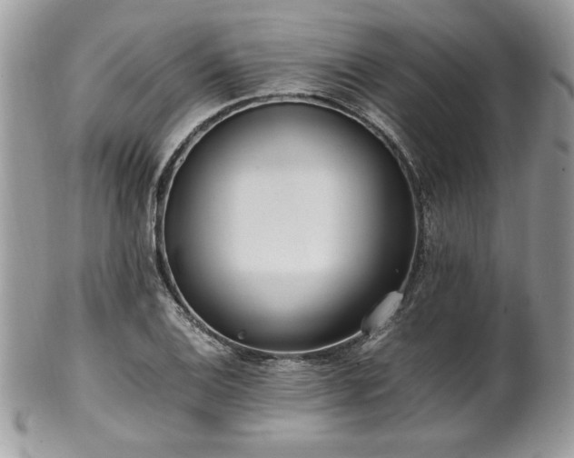 X0000102251124200807251316