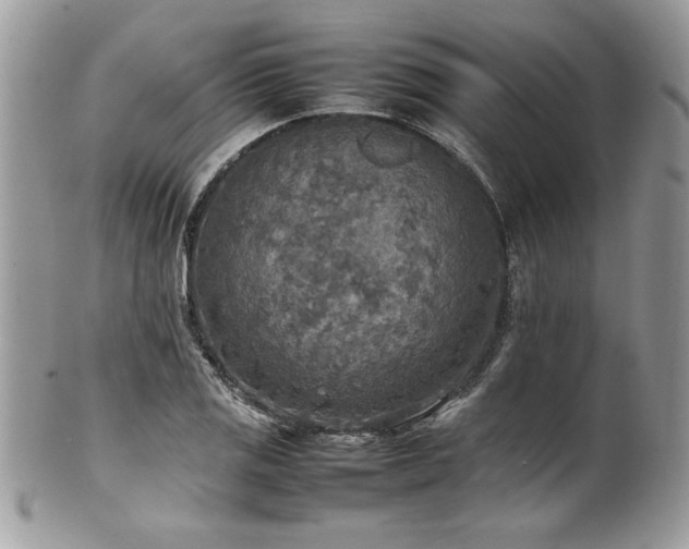 X0000102251125200807251316