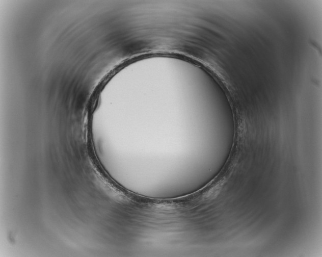 X0000102251126200807251316