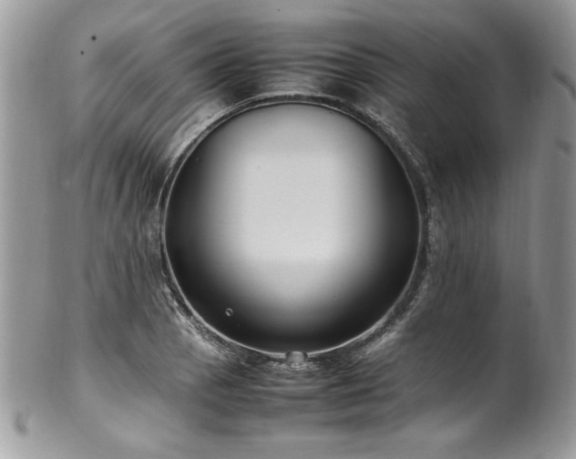 X0000102251129200807251316