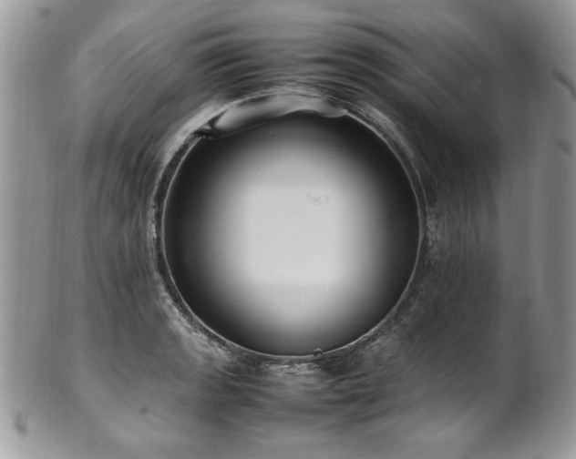 X0000102251133200807251316