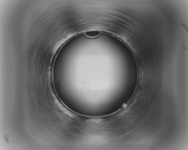 X0000102251134200807251316