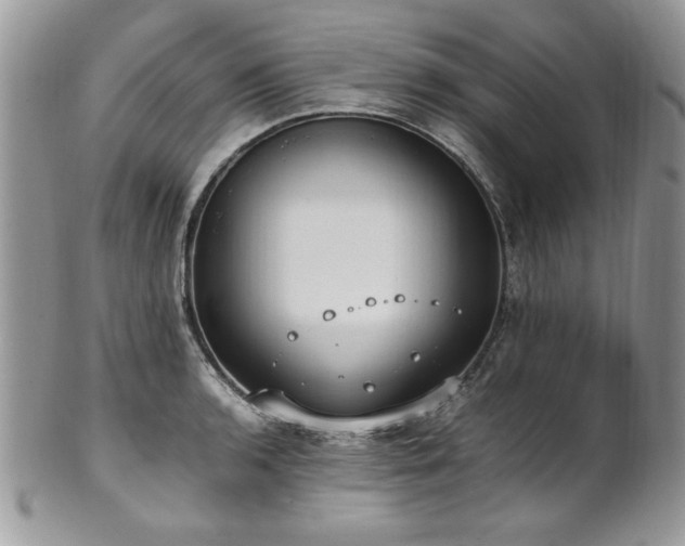 X0000102251136200807251316