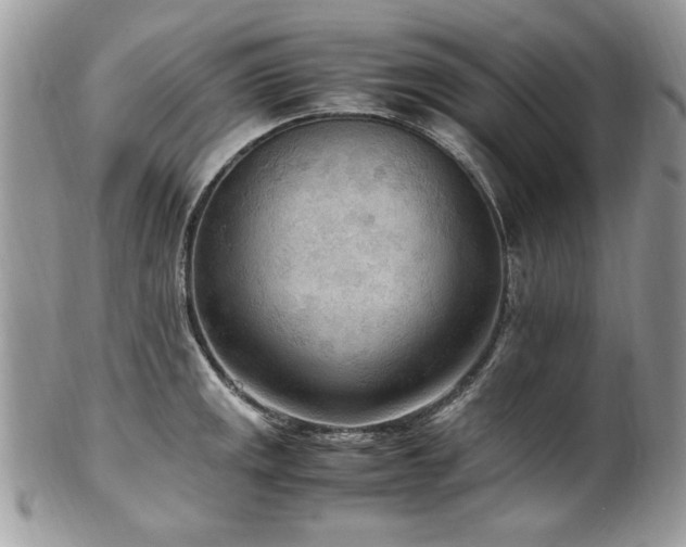 X0000102251141200807251316