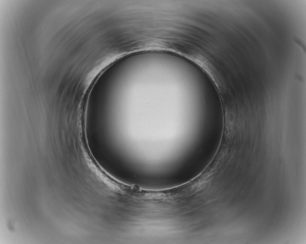 X0000102251142200807251316
