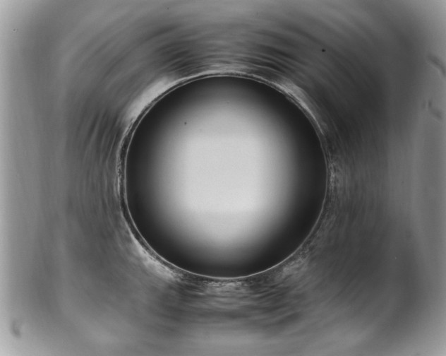 X0000102251143200807251316