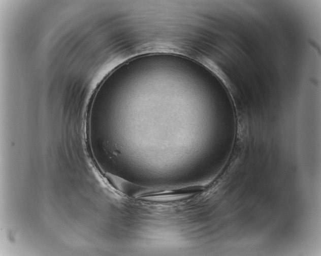X0000102251144200807251316