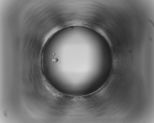 X0000102251146200807251316