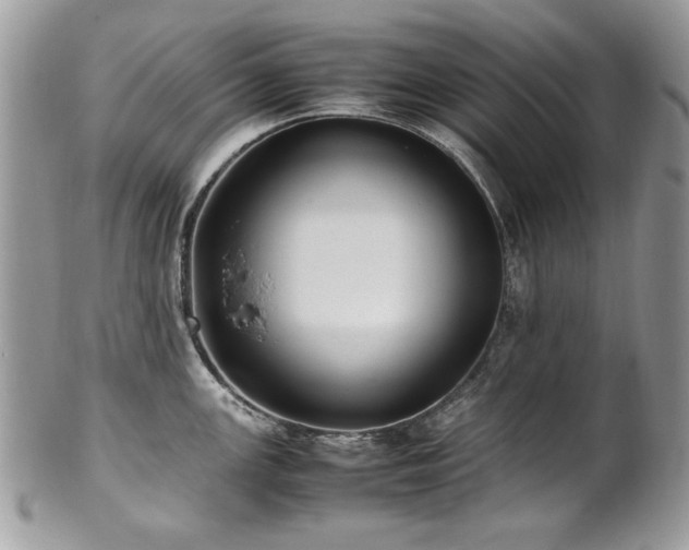 X0000102251147200807251316