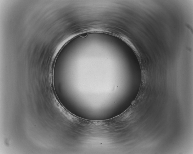 X0000102251148200807251316