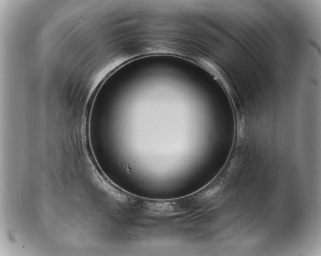 X0000102251149200807251316