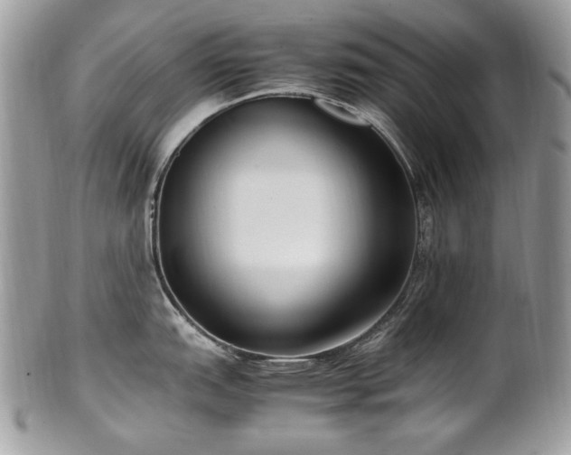 X0000102251151200807251316