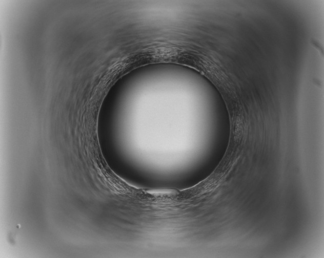 X0000102251153200807251316