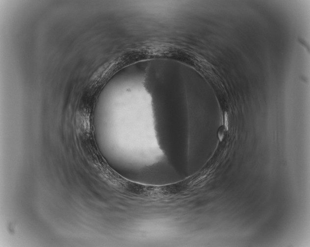 X0000102251155200807251316