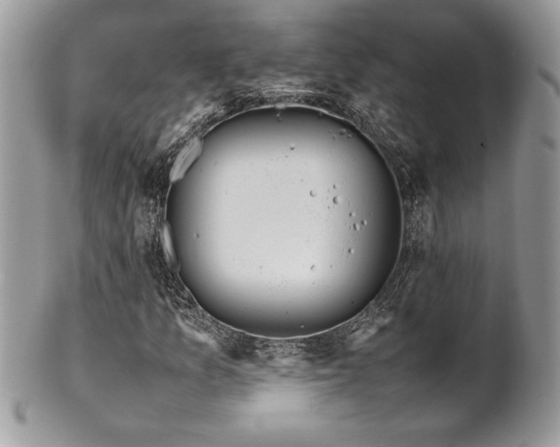 X0000102251157200807251316