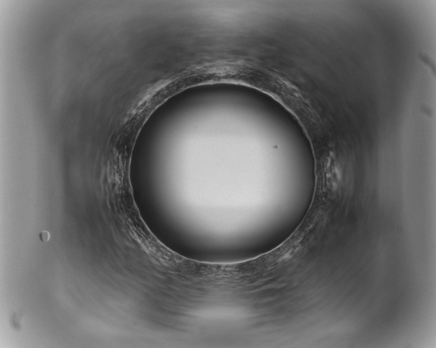 X0000102251158200807251316