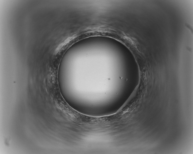 X0000102251159200807251316