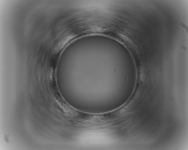 X0000102251161200807251316